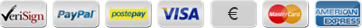 Paypal, Postepay, VISA, VISA Electron, MasterCard, AMERICAN EXPRESS
